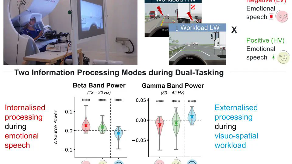 Neural and Pupillary Oscillations of External and Internal Information Processing Modes during Emotional Speech Processing and Visuo-spatial Workload